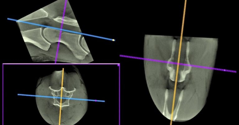 Neurological diseases: current threats and diagnostic options