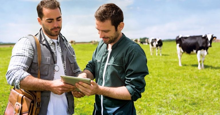 Changing farmer behaviour: how vets can challenge treatment loyalty and influence choices