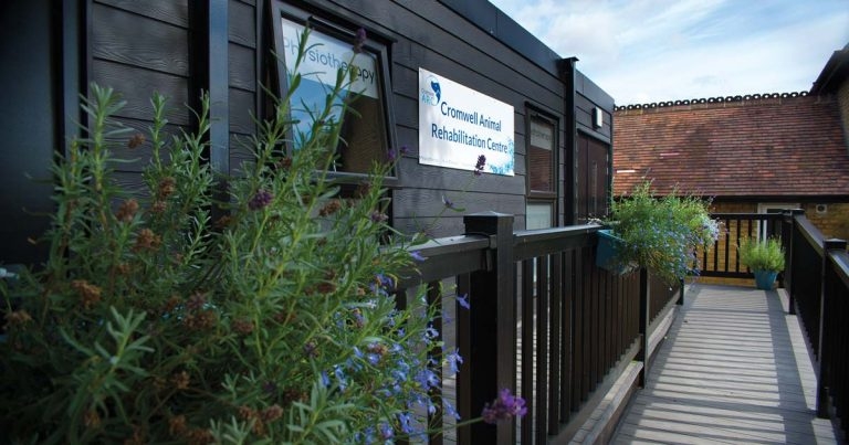 Practice Profile: Cromwell Animal Rehabilitation Centre