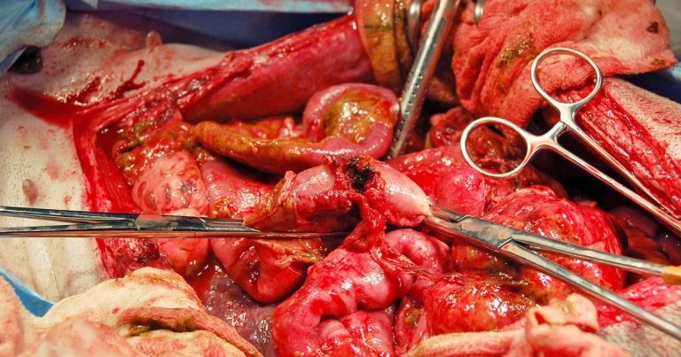 Barriers and challenges to treating canine OA – part 2