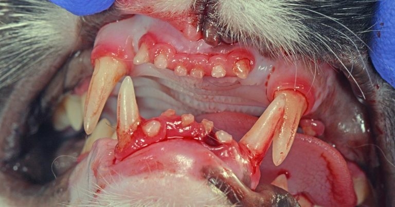 Halitosis – a breath too far?