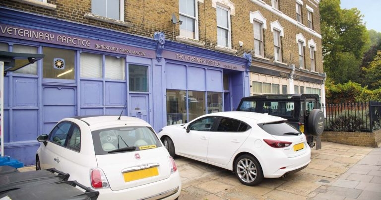 Practice Profile: The Veterinary Practice