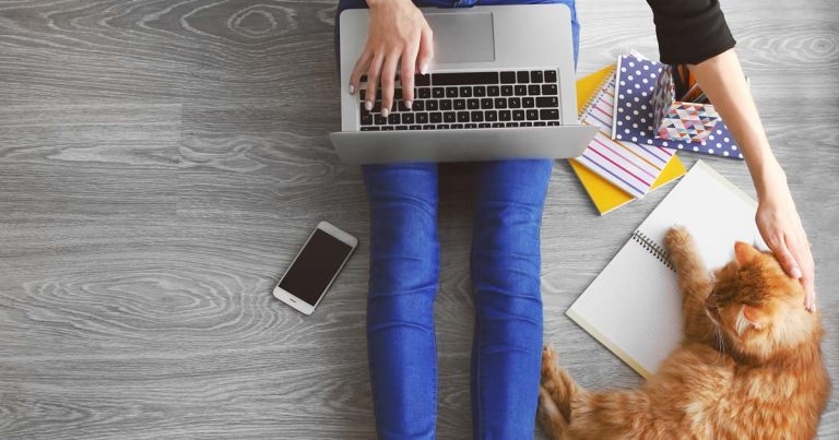 Launch event for VNs at SAMSoc meeting