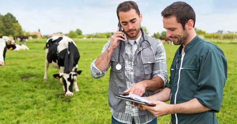 Importance of developing a farmer-vet relationship