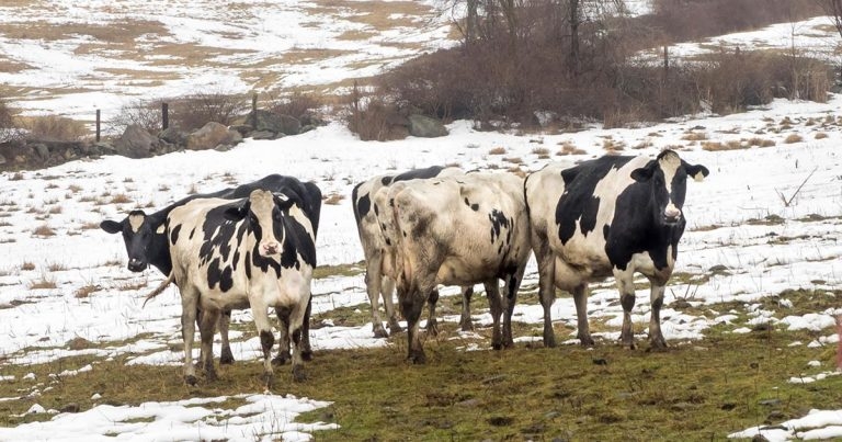 An unforgettable bad year