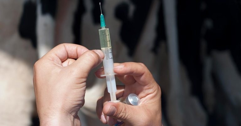 Vaccine compliance – are vets and farmers on the same page?