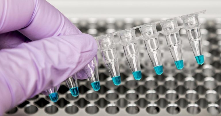 Interesting farm animal cases from the laboratory: March 2019