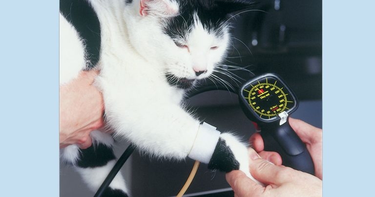 Ceva issues Mercury Challenge to UK vets