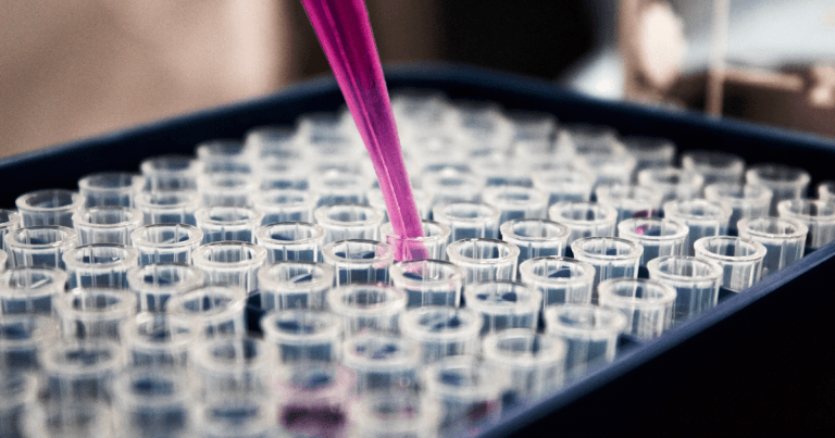 Interesting farm animal cases from the laboratory: May 2019