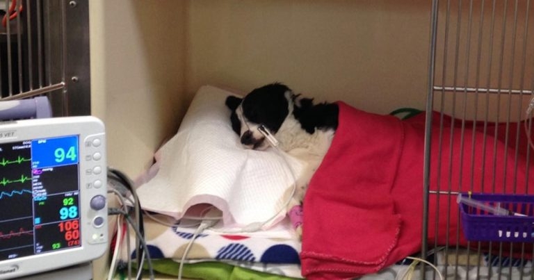 Head trauma, part 2: reducing intracranial pressure