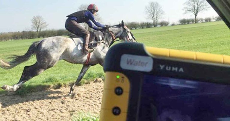 Updates on common performance limiting respiratory problems in the horse