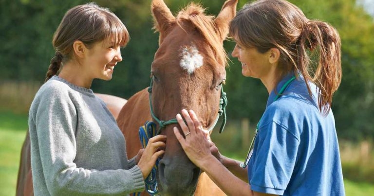 Equine vaccinations: how to persuade owners to comply