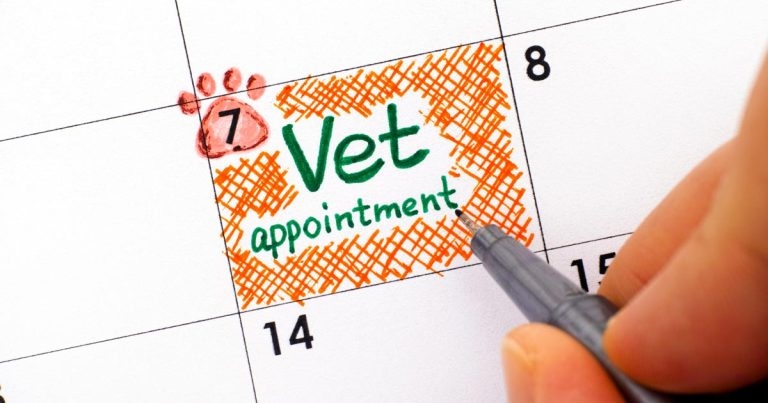 15-minute consults: a waste of time?