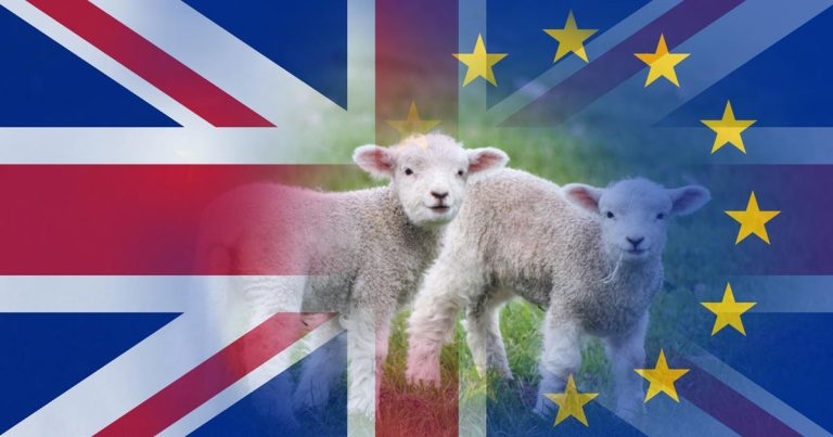 Animals to become collateral damage of Brexit
