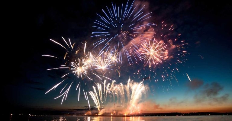 Blue Cross launches equine fireworks survey