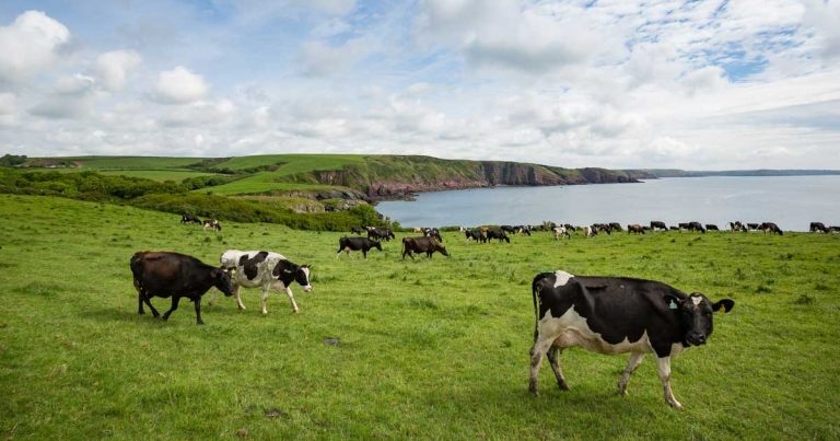 Taking farming forward