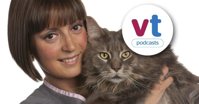 Vet Times Podcast, Ep 10: Karen Perry discusses feline OA