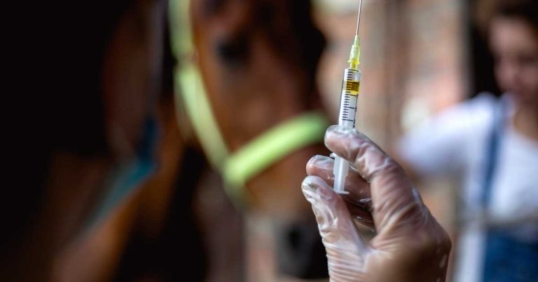 Effective use of vaccines in UK’s equine population