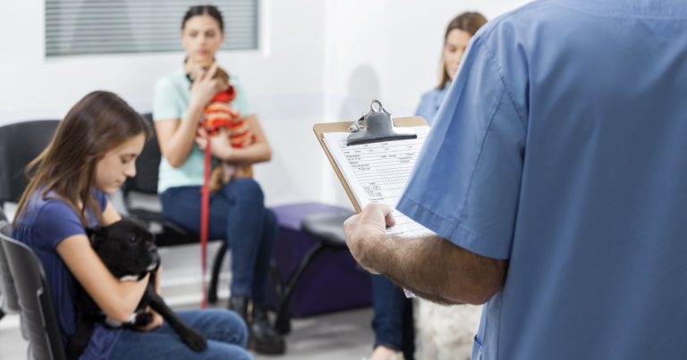 Work smarter, not harder: systems to boost your business