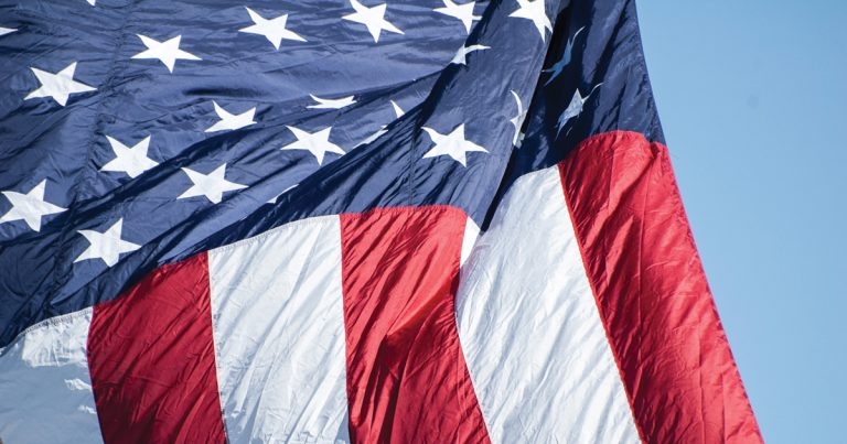 Veterinary best practice: American style