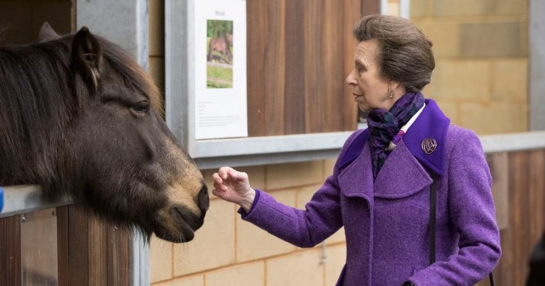 Princess Royal opens new facility at Surrey vet school