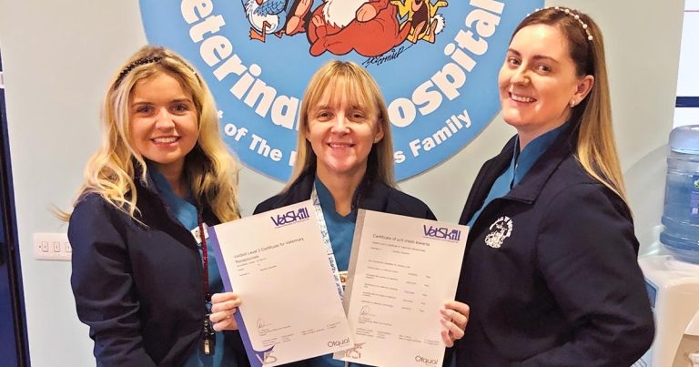 Vet receptionist success