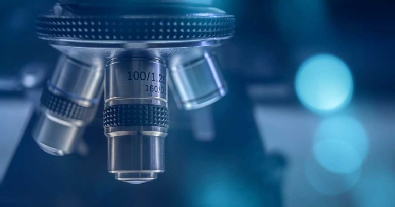 Impact of glucose on urine specific gravity in cats and dogs