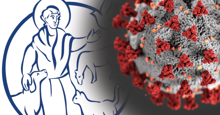 BVNA releases COVID-19 guidance for VNs