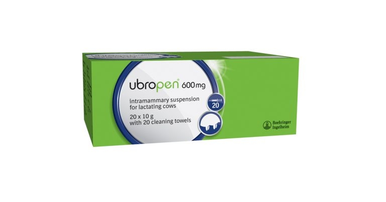 New mastitis product released