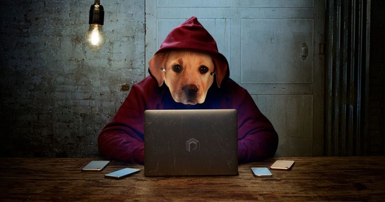 New Government ‘Petfished’ campaign launches