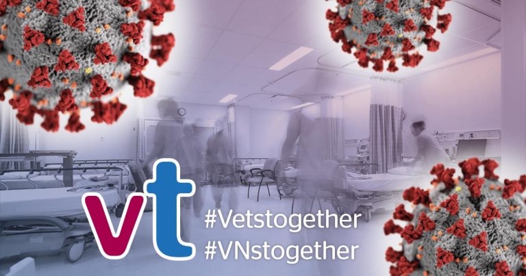 Vets and nurses needed for NHS hospital wards