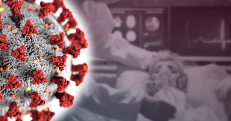 RCVS: prioritise livestock production, meat hygiene over NHS