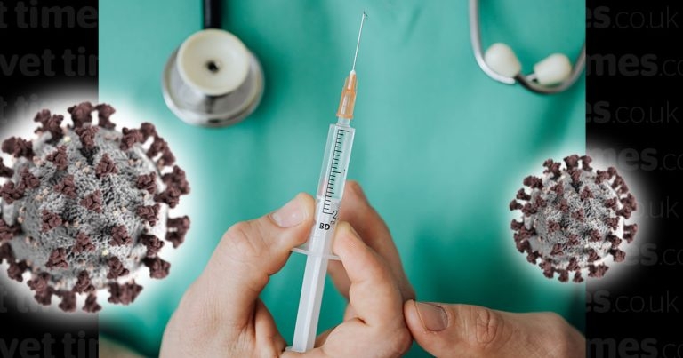 Latest SAVSNET report confirms recovery signs