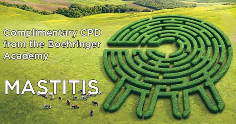 Mastitis CPD meetings move online