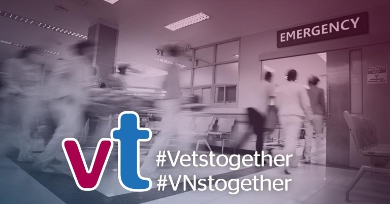 New survey to gauge impact of pandemic on vets and VNs