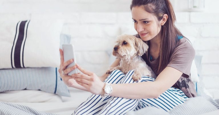 VBJ Technology Insight: PetsApp