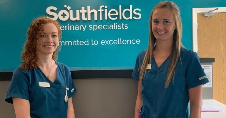 Southfields nurses reach out to next generation