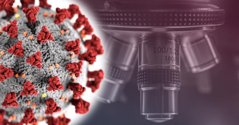 SARS-CoV-2 variants could infect more animals’ cells – study