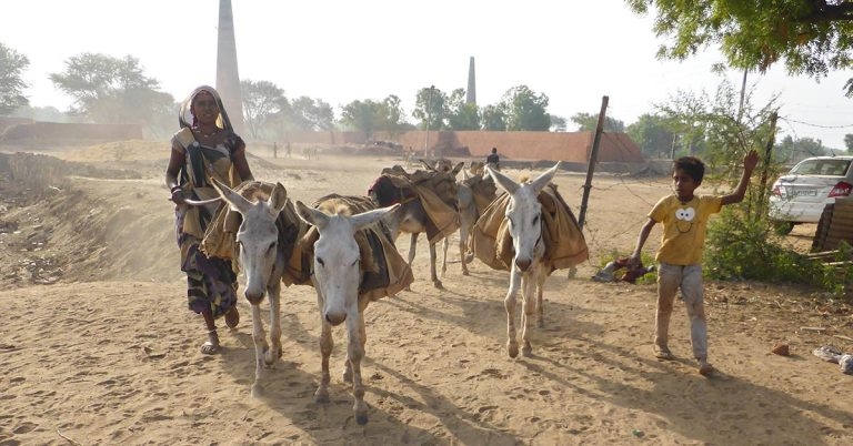 Welfare charity’s paper gets recognition