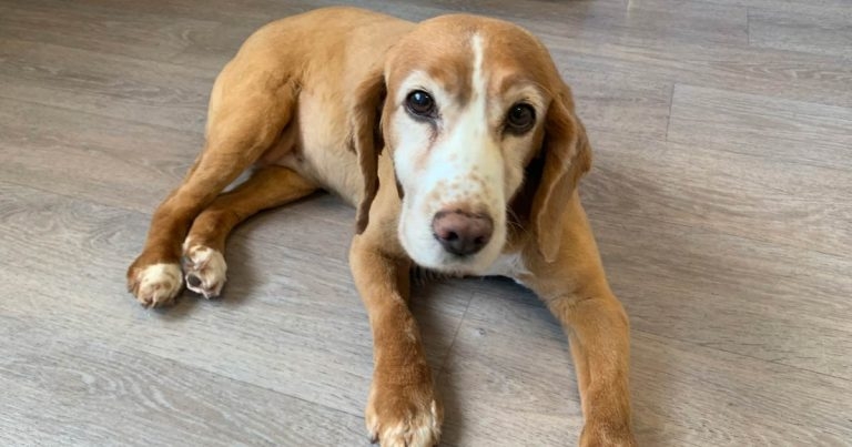 Management of OA part 2: plan for life