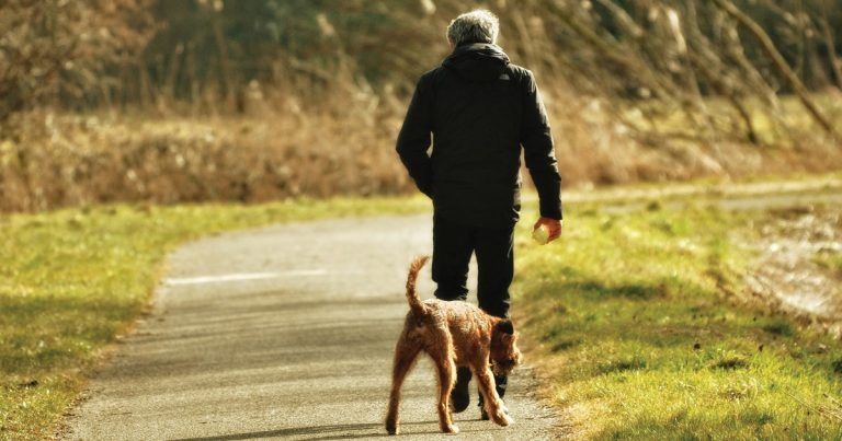 Always the dog walker – true crimes