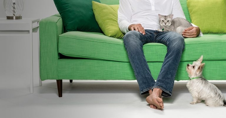 Big response for home delivery service