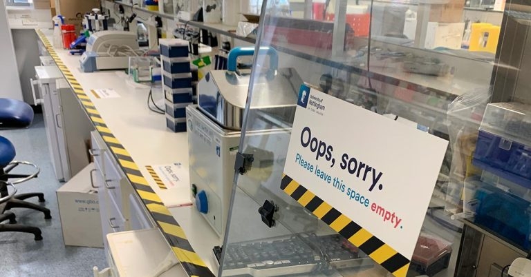 Vet students heading back to campus