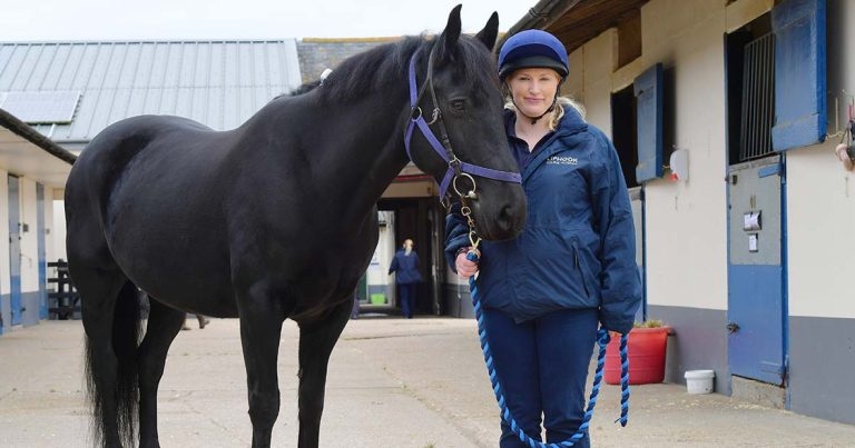 VetPartners equine nursing school galloping ahead