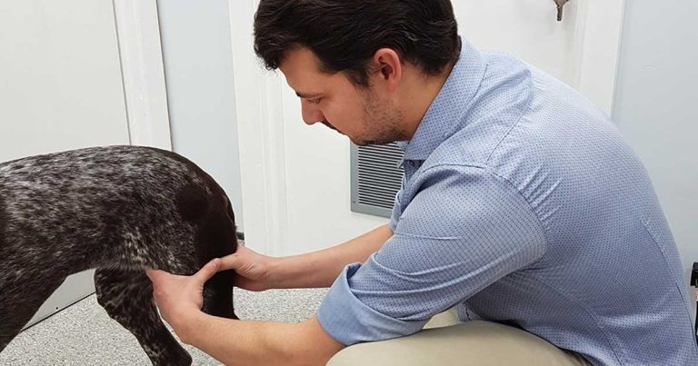 Diagnosis of hip dysplasia