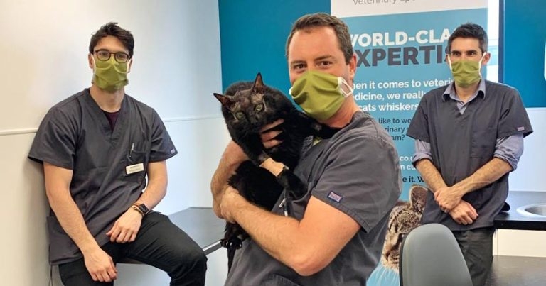 Ben bounces back after partial craniectomy