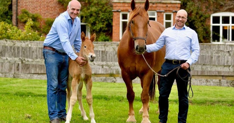 World first for radiant Ruby