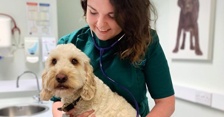 First cohort completes Linnaeus grad programme