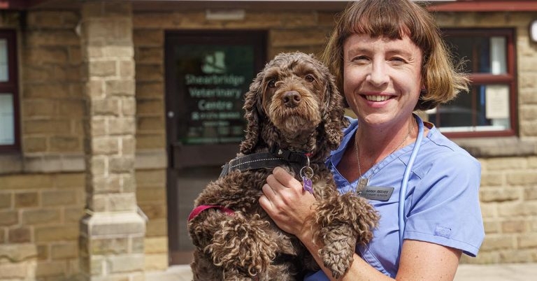 Vet Sarah proves she has head for business