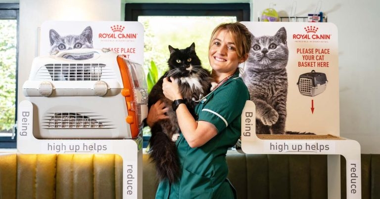 Silver status for cat-friendly Cambs practice